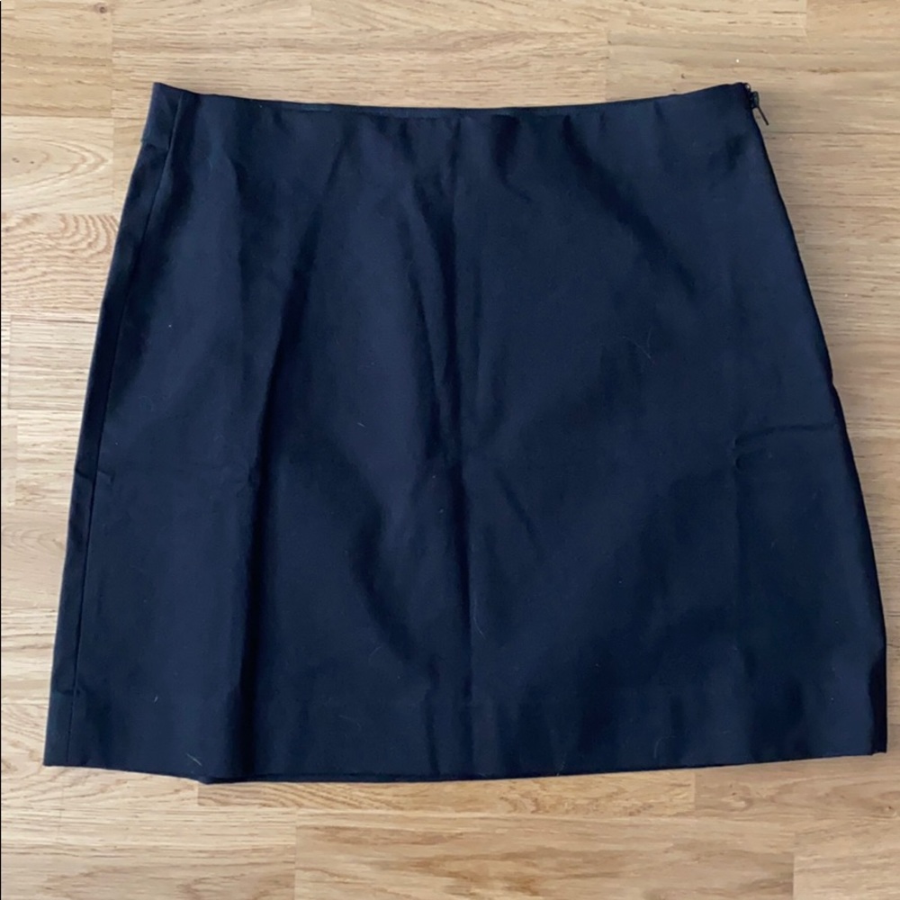 Everlane Mini Skirt